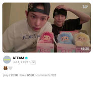 harulas hachipupu wlive!